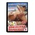 PRIVATE – Barcelona Bandidos 2 – film DVD 18+ – zdjęcie 2